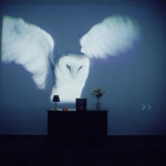 Thumbnail of