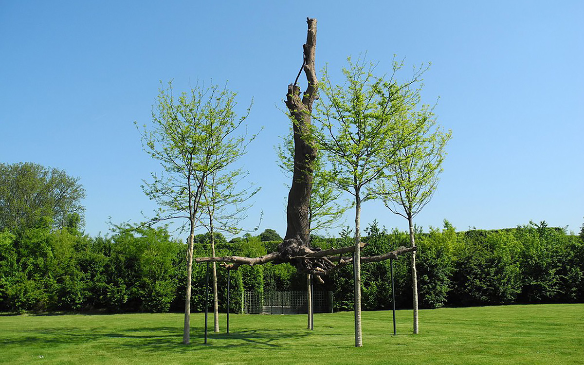 image penone-elevation