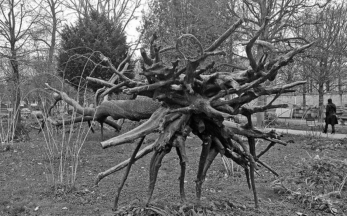 image Penone Giuseppe, L'Arbre des voyelles, 1999