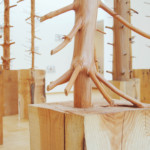 Thumbnail of http://Penone%20Giuseppe,%20Arbres,%202003,%20musée%20de%20Grenoble