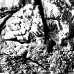 Thumbnail of http://Michel%20Comte,%20light%20(2017),%20Val%20Rosegg%20Glacier,%20Switzerland
