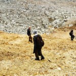 Thumbnail of http://Michel%20Comte,%20Light%20(2017),Val%20Rosegg%202017%20lost%20glacier%20within%20one%20year