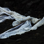 Thumbnail of http://Michel%20Comte,%20light%20(2017),%20G%20lacier%20blanket,%20British%20Columbia