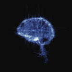 Thumbnail of http://Pascal%20Haudressy%20-%20BRAIN,%202009.Étude%20de%20noise%20génératif,%20écran,%20cloche%20en%20plexiglas.