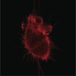 Thumbnail of http://Pascal%20Haudressy%20-%20HEART,%202009.Étude%20de%20noise%20génératif,%20écran,%20cloche%20en%20plexiglas.
