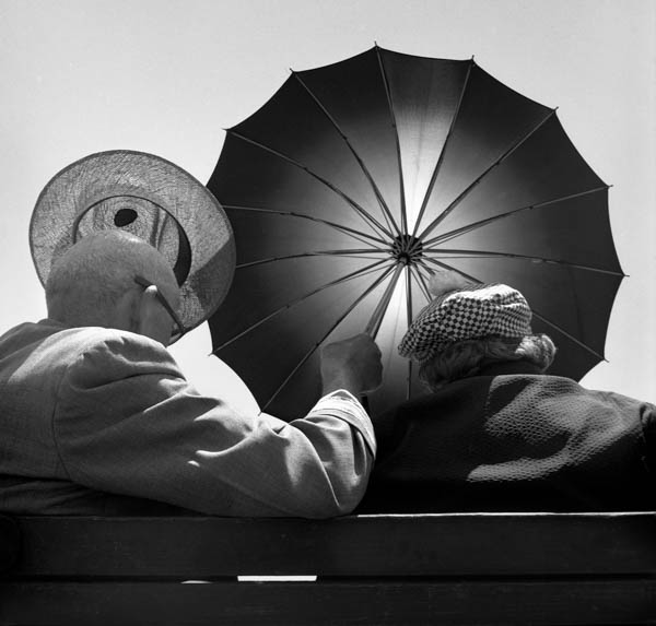 image CI-046 Seeking Shade, 1948