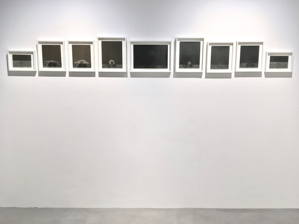 image Vittoria+Gerardi_InstallShot6_Courtesy+Galerie+Thierry+Bigaignon