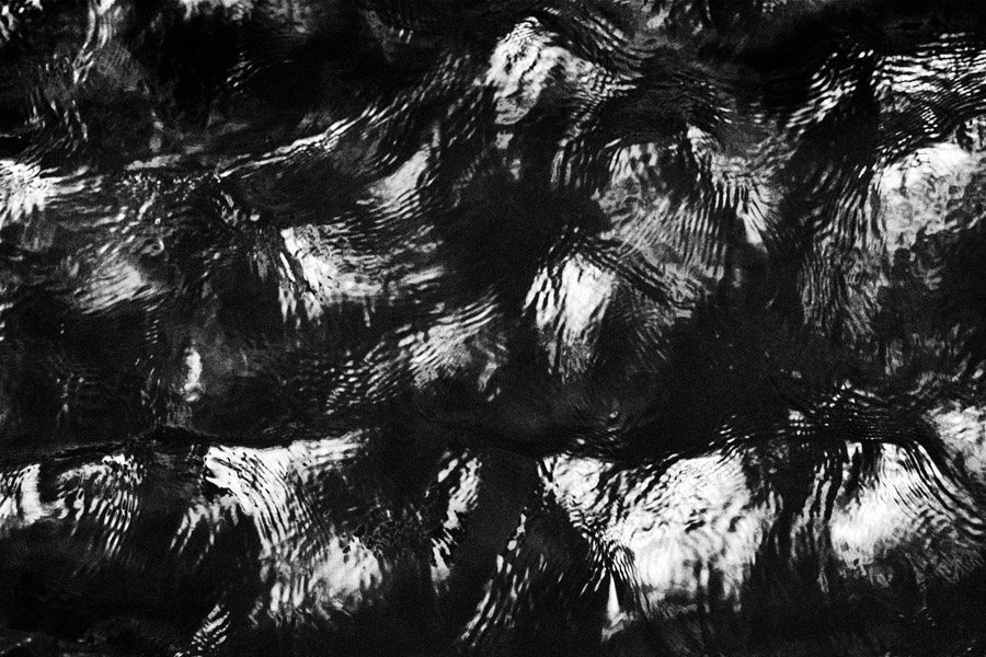 image La forme de l'eau /The shape of water