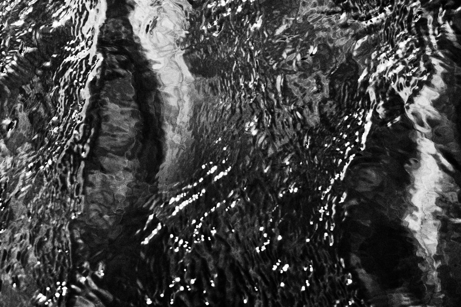 image La forme de l'eau /The shape of water
