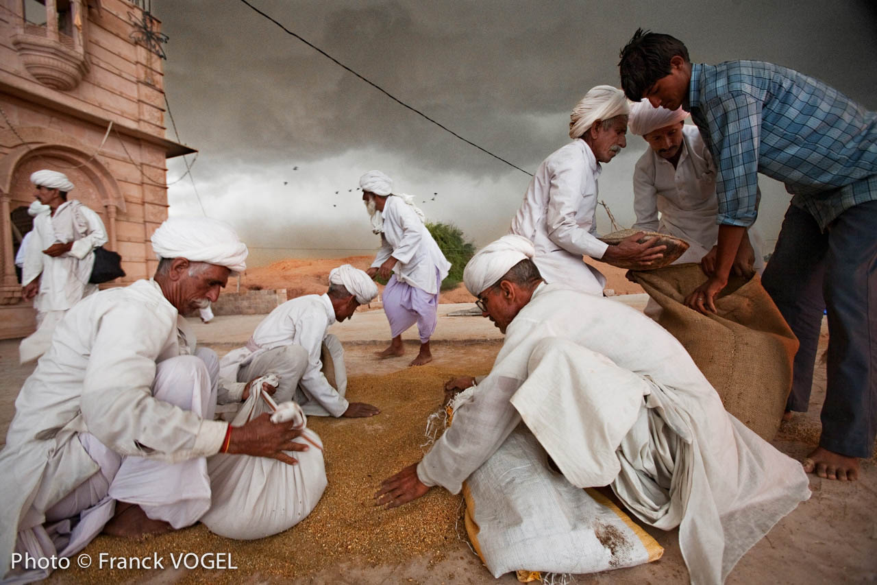 <p>During their main festivals, each Bishnoi family has to offer wheat or millet in order to feed gazelles, black antelopes, peacocks and pigeons living around the<br />
sacred temples. Since the 15th century they have shared their harvest as well as water with wildlife.</p>
image Bishnois-Franck-Vogel-1