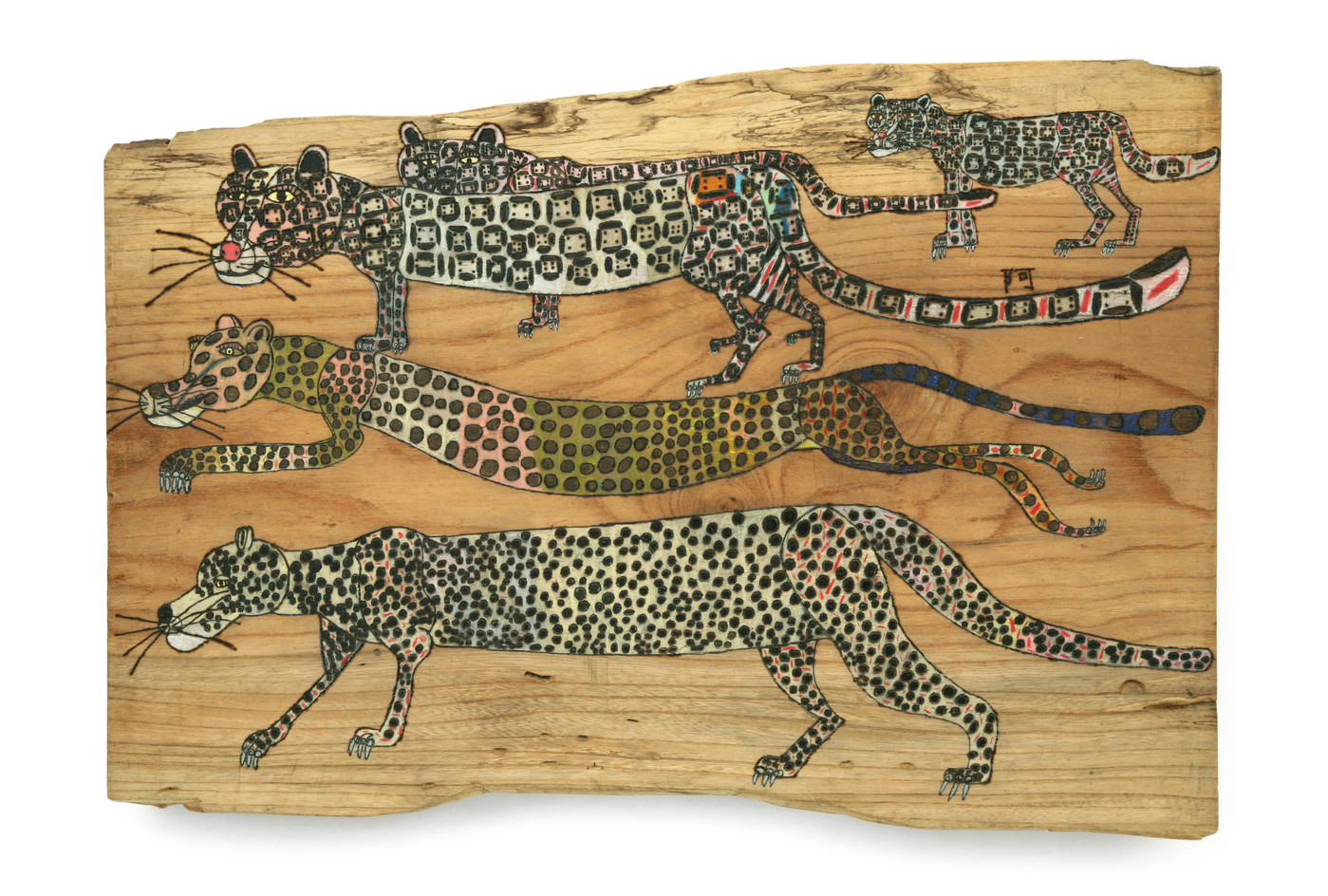 image Leopard-guepard-leopard-Takayuki-Ayama-2016_0_1399_944