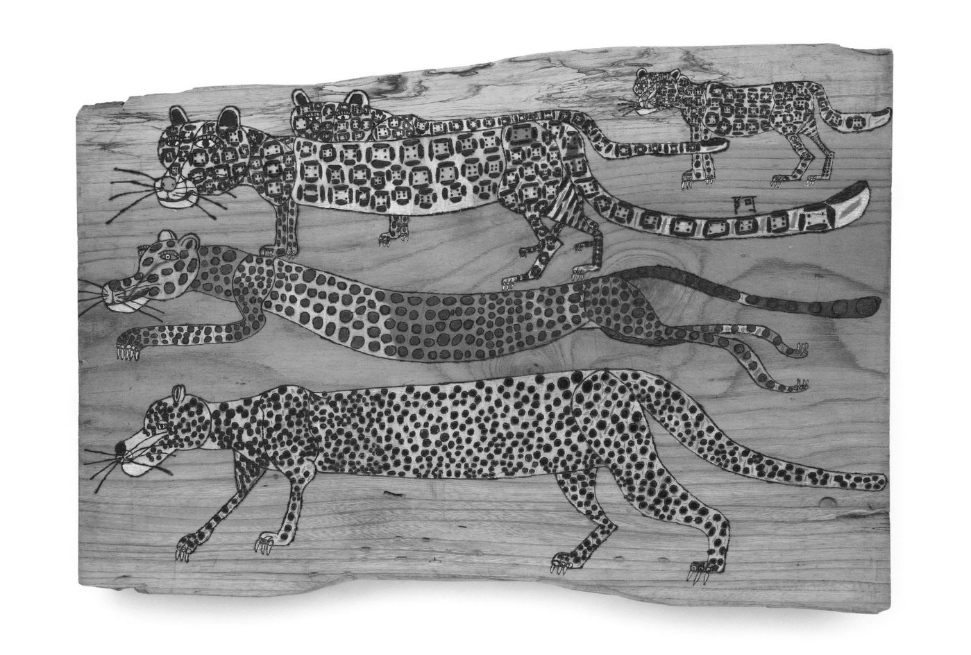 image Leopard-guepard-leopard-Takayuki-Ayama-n&b