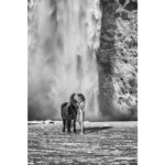 Thumbnail of http://Cascade%20Skogafoss%20en%20Islande%20Marisa%20Papen%20%20-%20Cécile%20Plaisance