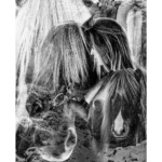 Thumbnail of http://Montage%20environnement%20-%20Olga%20Kent%20&%20ours%20polaire%20-Cécile%20Plaisance