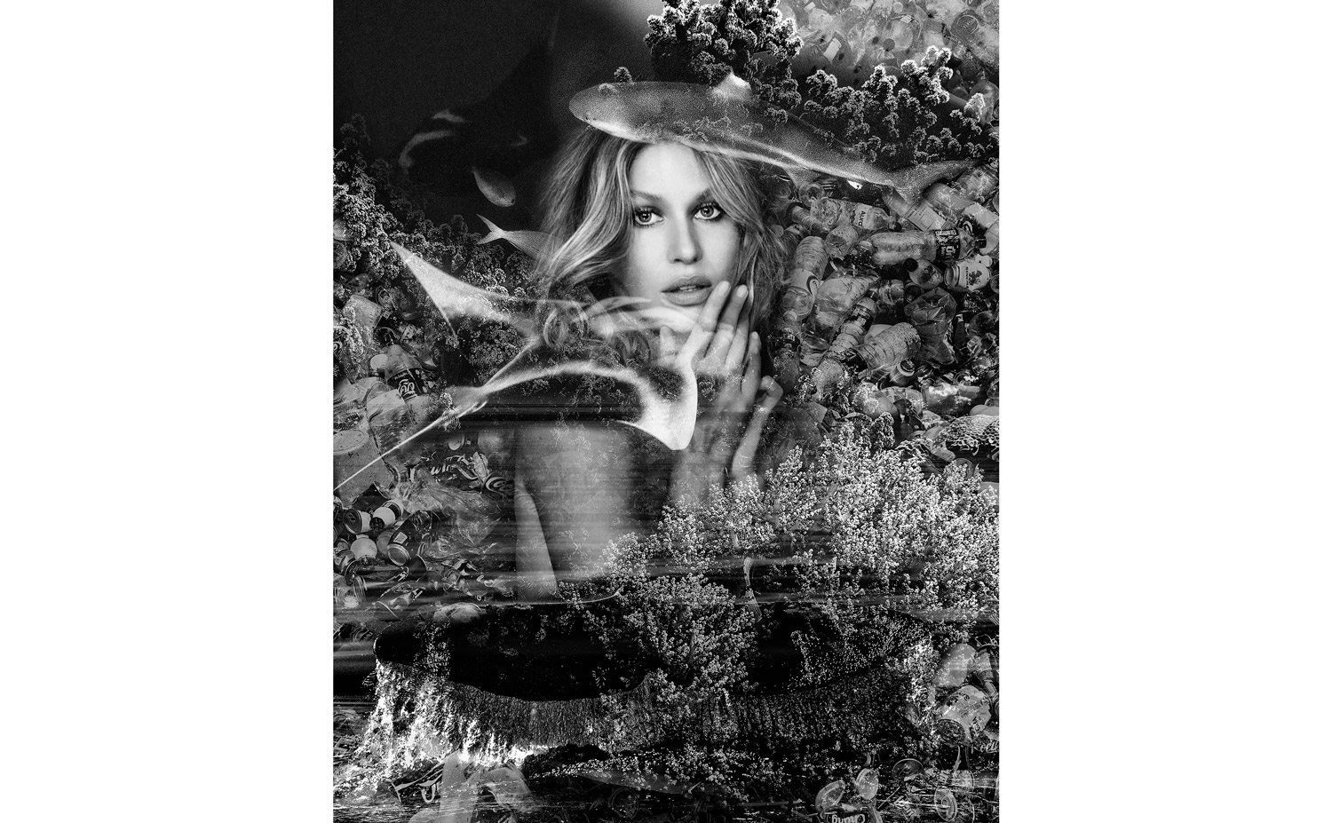 image Montage-environnement-sous-marin---Olga-Kent---Cécile-Plaisance