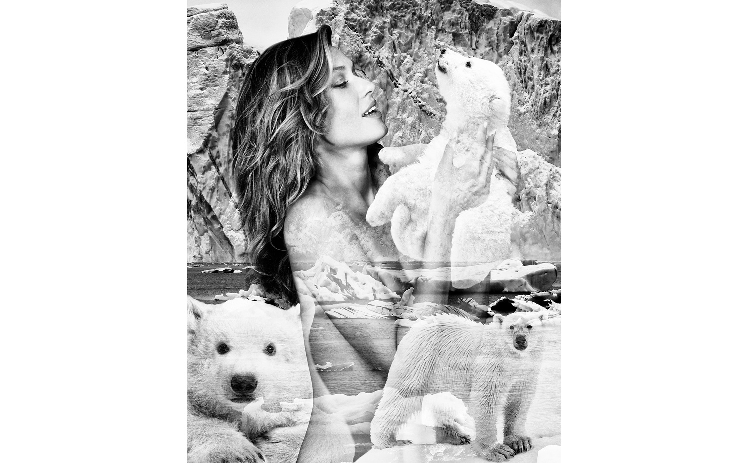 image Montage-envrionnement---Olga-Kent-&-ours-polaire---Cécile-Plaisance