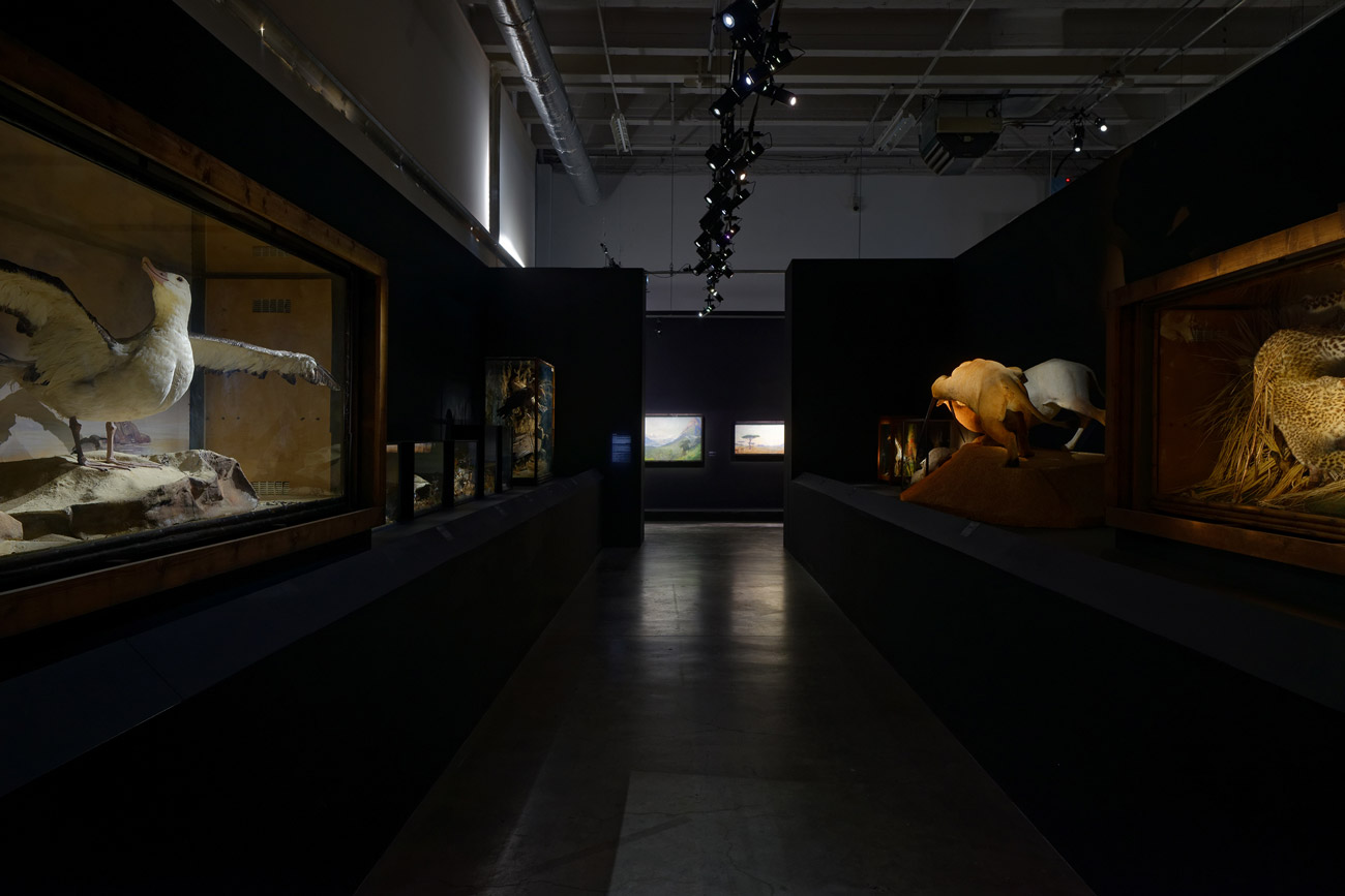 image PdT-2017-Dioramas-014-ld