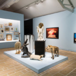 Thumbnail of http://Vue%20de%20l'exposition%20«%20Cabinets%20de%20curiosité%20»%20
