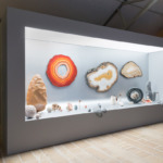 Thumbnail of http://Vue%20de%20l'exposition%20«%20Cabinets%20de%20curiosité%20»%20