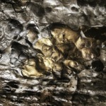 Thumbnail of