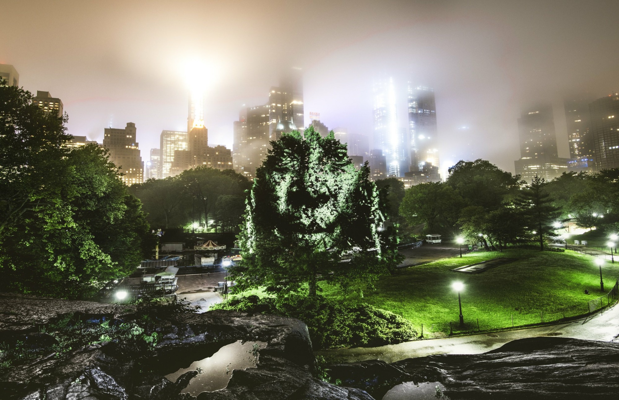 image A World First in New york 0 - Little Defition