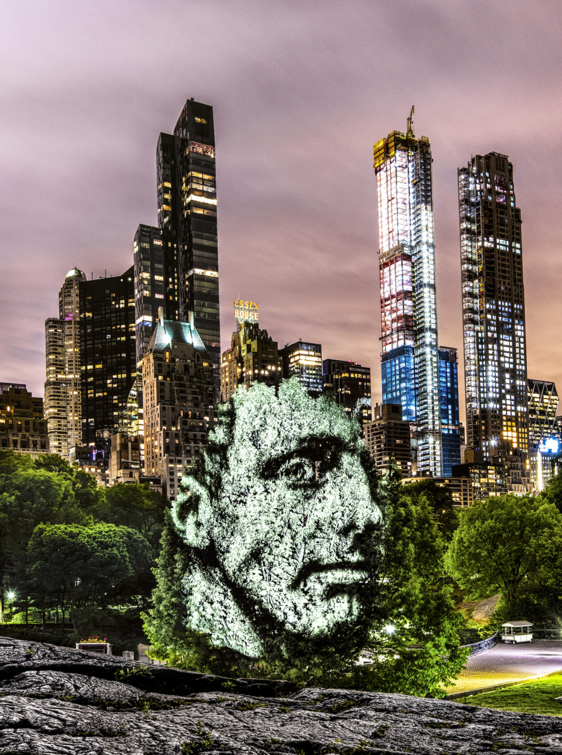 image A World First in New york 4 - Little Defition