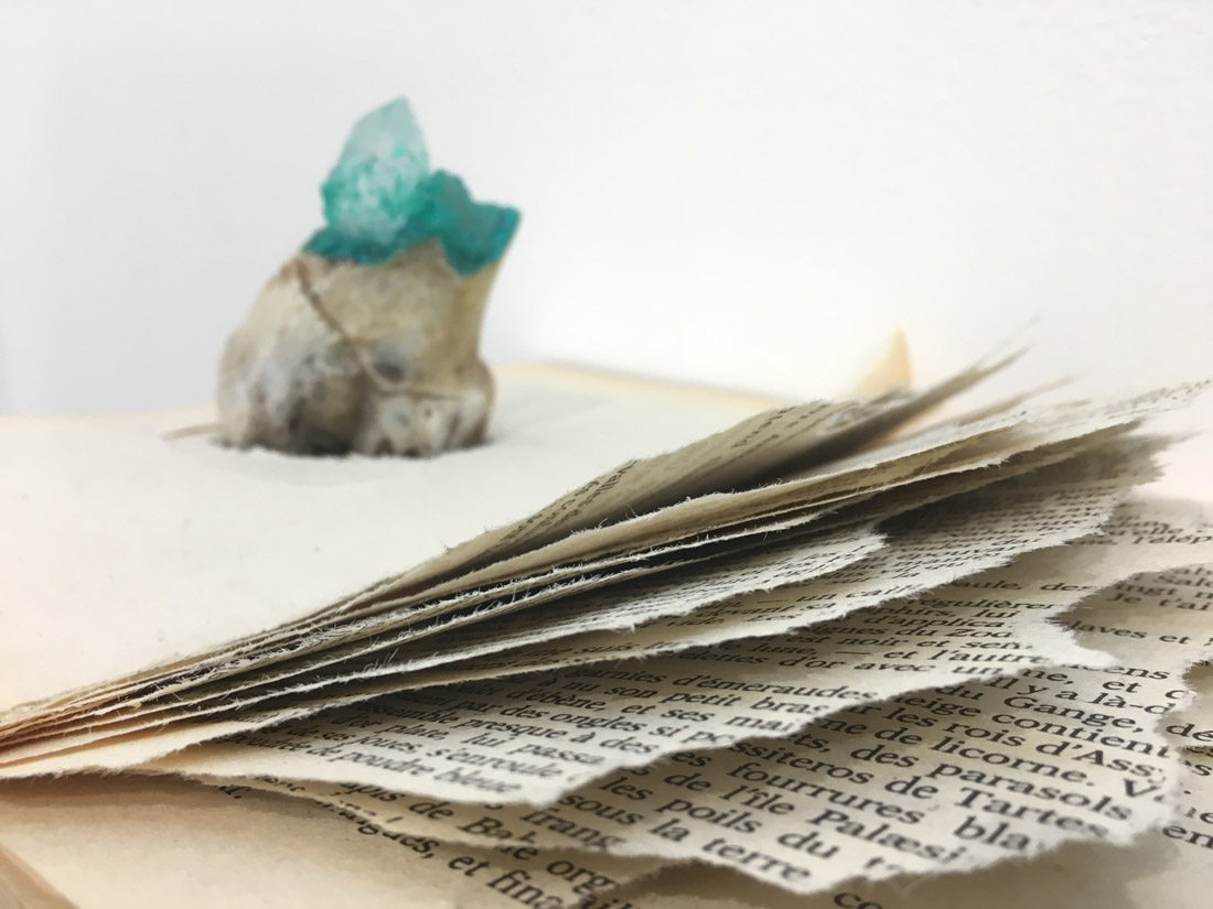 image Aïcha Snoussi. Fossiles. Installation. Books, stone, bones, ink, thimble. Artbrussels. 2018. ©A.Gorgi Gallery