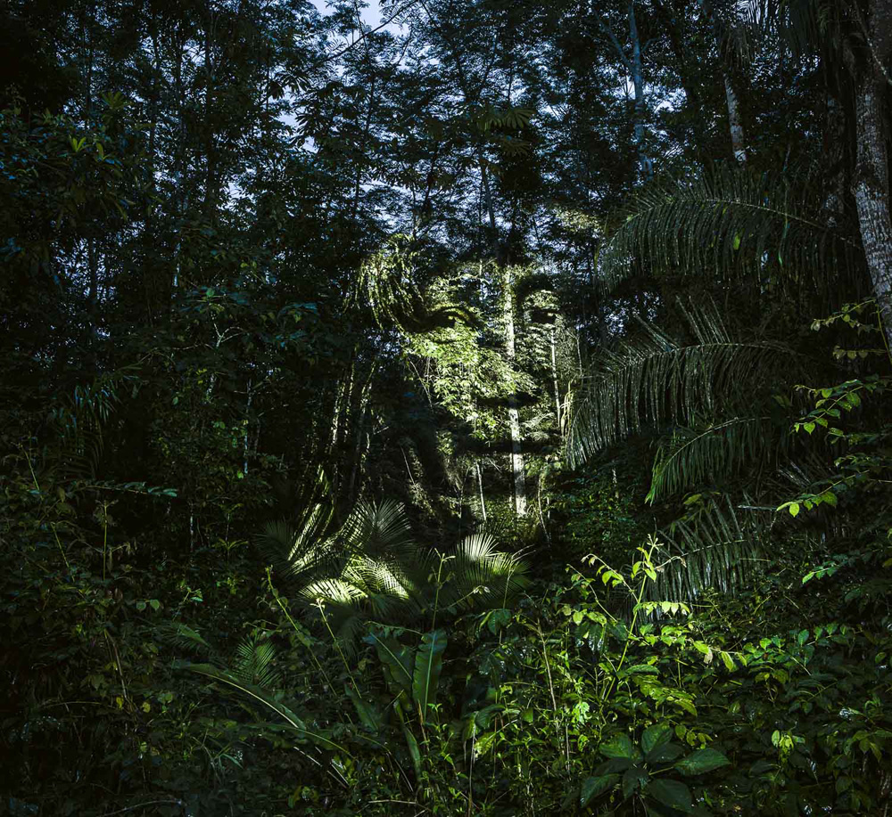 image Painting With Lights - Amazonie 12