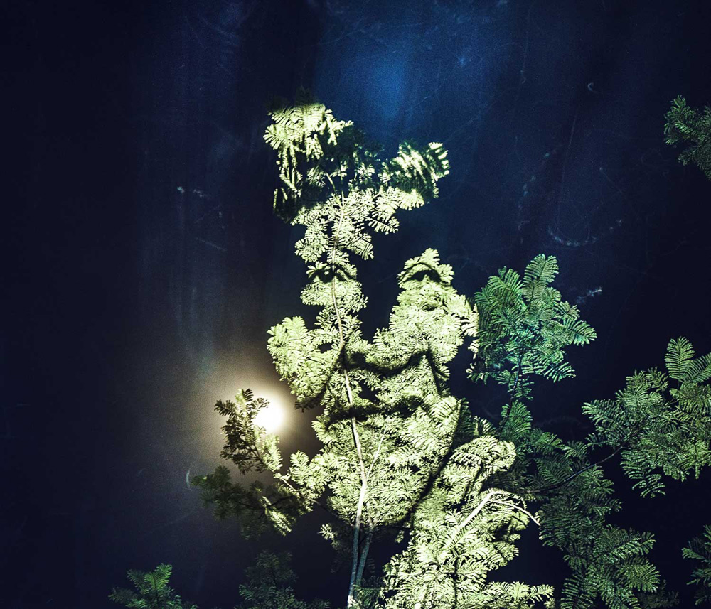 image Painting With Lights - Amazonie 13