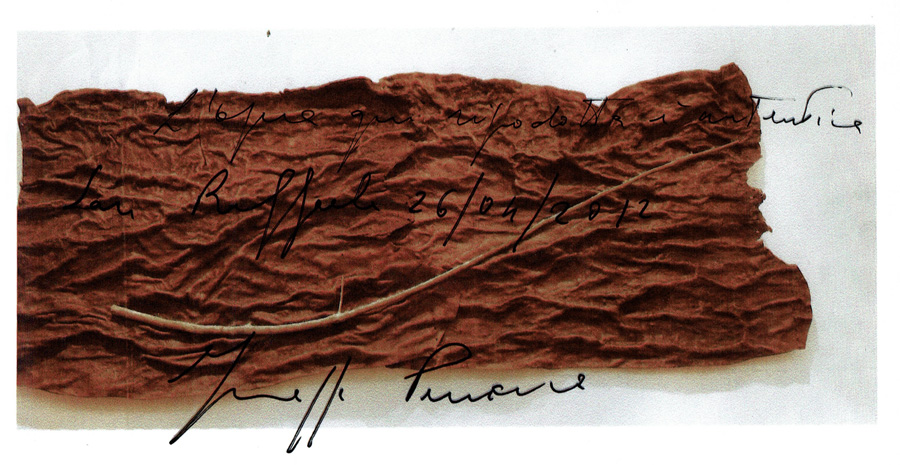 image penone
