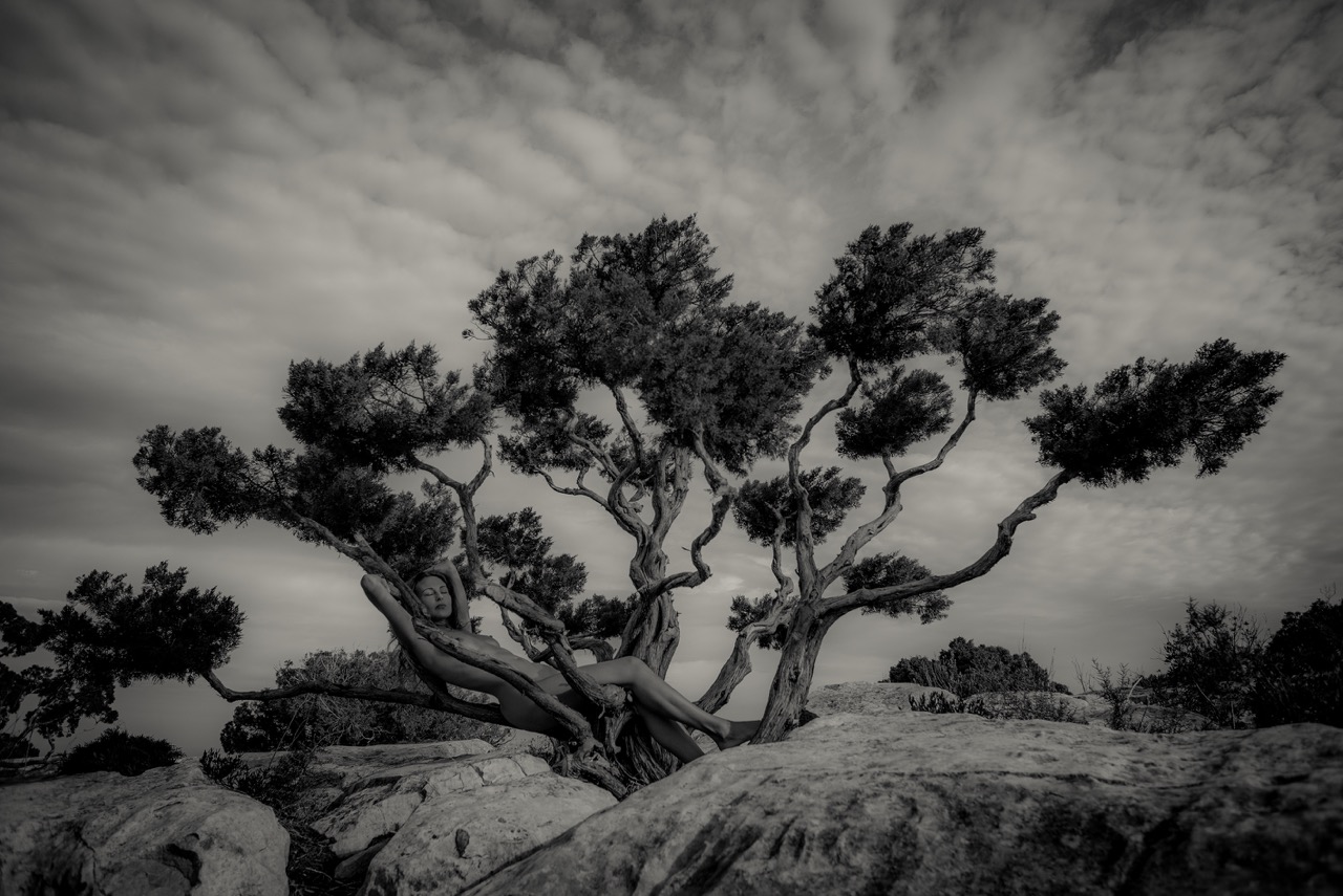 image Mother Nature - Jade in Na Xamena
