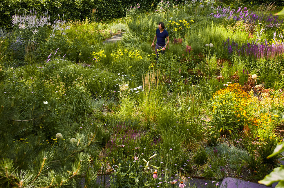 image ArneQuinze_dans-son-jardin-Credit-Dave-Bruel