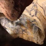 Thumbnail of http://Panneau%20des%20rennes%20et%20des%20chevaux%20-%20Grotte%20Chauvet%20-%20Ardèche%20-%20Photo%20©%20Patrick%20Aventurier