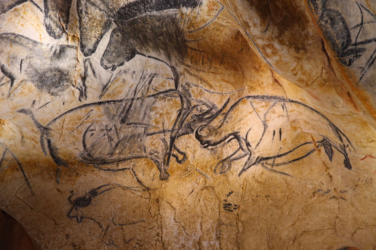 image rhinos-s-affrontant©-Patrick-Aventurier---Grotte-Chauvet-2--Ardèche