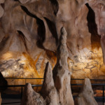 Thumbnail of http://Vue%20d'ensemble%20Panneau%20des%20chevaux%20-%20Grotte%20Chauvet%202%20-%20Ardèche%20-%20Photo%20©%20Patrick%20Aventurier