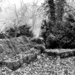Thumbnail of 