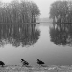 Thumbnail of http://Etienne%20Revault,%20Grand%20canal%20du%20parc%20de%20Sceaux%20©%20Etienne%20Revault