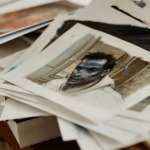 Thumbnail of 